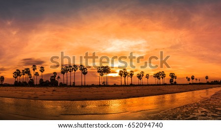 panorama of sunset beach on golden hour - can use to display or montage on product