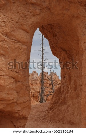 orange geological structures in bryce national park