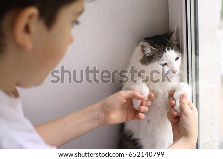 teenager boy kid with cat in bed playing close up photo
