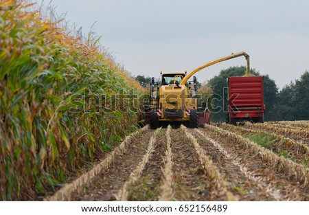 Harvest corn harvester and tractor in corn Royalty-Free Stock Photo #652156489