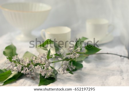 A branch of pale colored lilac on a morning coffee table with white cups, vase, and tablecloth