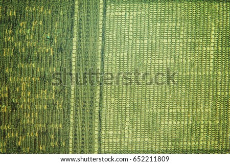 Dark green and brown patterned cloth texture