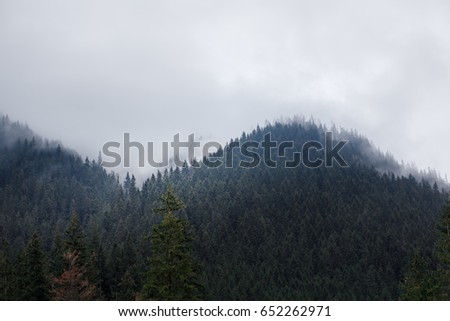 Mountains close-up. Nature and picture for wallpaper