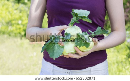 A girl holds tender, fresh Turnip in her hand / fresh, green Turnip / vegetables
