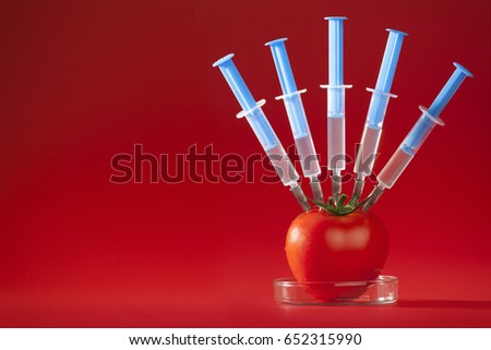 Genetic Food Manipulation Series: Tomato and syringes, modern on Red Bright Background
