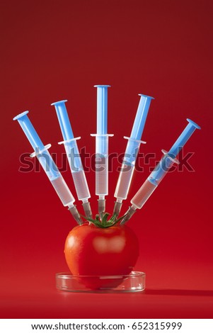 Genetic Food Manipulation Series: Tomato and syringes, modern on Red Bright Background