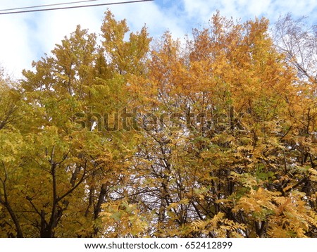 Beautiful landscape in autumn
