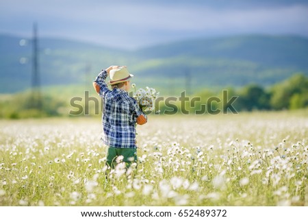 Happy childhood.
Cute boy in a hat walks in the field of blossoming chamomile