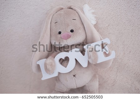 toy rabbit with love