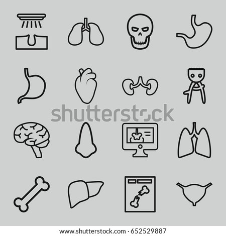 Anatomy icons set. set of 16 anatomy outline icons such as nose, hair removal, stomach, liver, heart organ, lungs, brain, kidney, bladder, x ray, x-ray on display, skull