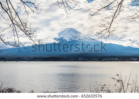 Fuji with branch