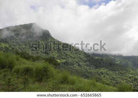 the mist moving across green forest and mountain with blue sky.
