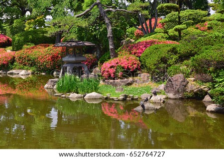 japanese garden with bird Royalty-Free Stock Photo #652764727