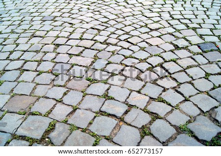 Photo of an old paving stone in a beautiful pattern. Ancient stone tile with some grass between the stones.