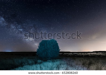 Night long exposure photography: Tree under the Milky Way within Guadalajara countryside, Spain.