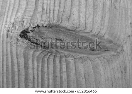 Closeup Panorama of a Wooden Plank with Exposed Knot In Monochrome.