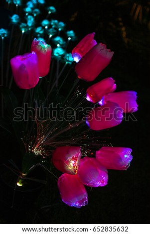 Nong Prajak Public Park Udon Thani, Thailand bokeh LED flowers 