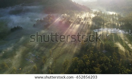 Morning Mist Ranca Upas Camping Ground