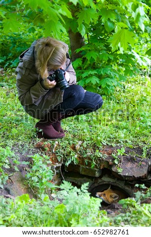 A girl takes pictures of a young fox who looks out of hiding.