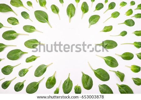 Frame made of spinach leaves on white background. Spinach leaf isolated background. Creative food concept. Ingredient for salad. Flat lay, top view Royalty-Free Stock Photo #653003878