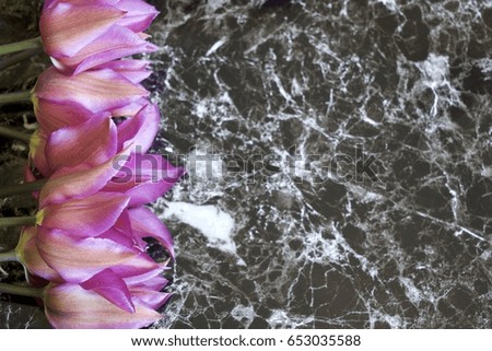 Tulips flowers on the marble table. Full frame flat lay picture with copyspace.