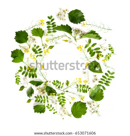 Round frame of meadow flowers and plants on a light background.
