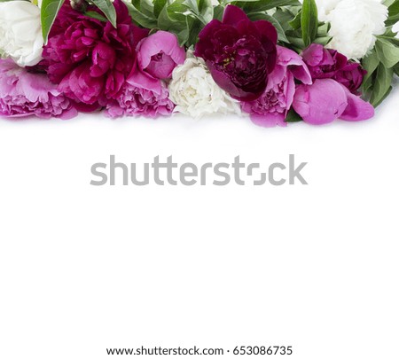 Peonies at border of image with copy space for text. Peonies on a white background.