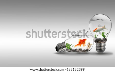 Gold fish in water inside an electric light bulb, concept of freedom. alone or barrier