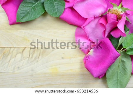 Aging bright pink rose petals forming a border on a rustic wooden background. Copy space available