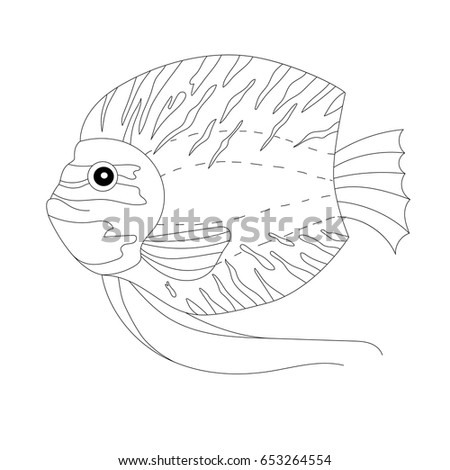Beautiful fish, coloring page
