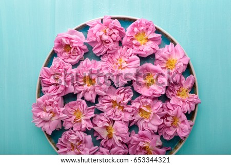 Beautiful pink damask roses on turquoise painted wooden background. Top view, flat lay.