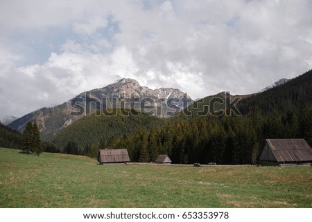Mystical Landscape, picture of nature, mountains and valley in spring