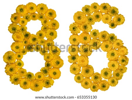 Arabic numeral 86, eighty six, from yellow flowers of buttercup, isolated on white background
