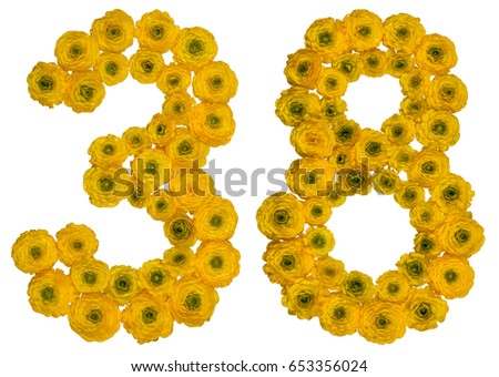 Arabic numeral 38, thirty eight, from yellow flowers of buttercup, isolated on white background