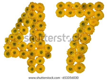 Arabic numeral 47, forty seven, from yellow flowers of buttercup, isolated on white background