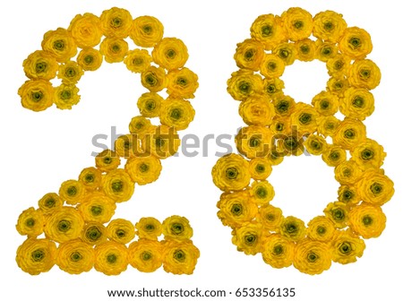 Arabic numeral 28, twenty eight, from yellow flowers of buttercup, isolated on white background