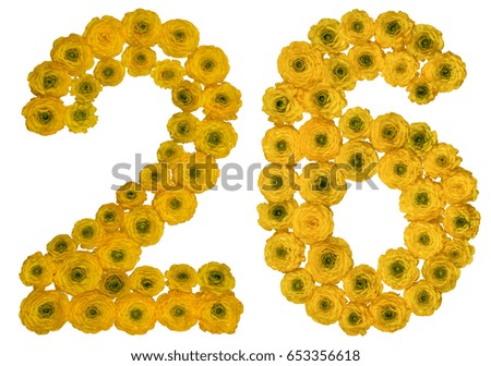 Arabic numeral 26, twenty six, from yellow flowers of buttercup, isolated on white background