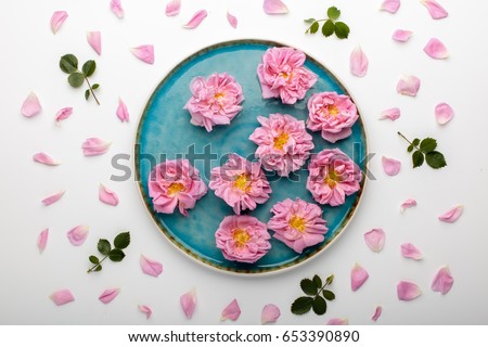 Beautiful pink damask roses in turquoise plate on white background. Top view, flat lay.