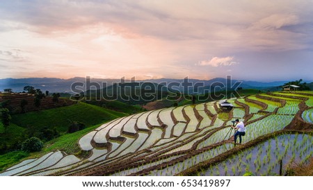 Photographer taking photo twilight sky on rice field 