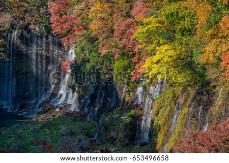 Shiraito waterfall in autumn season.