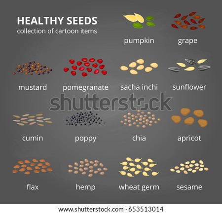 Different kinds of healthy seeds in cartoon style with names isolated on chalkboard background. Royalty-Free Stock Photo #653513014