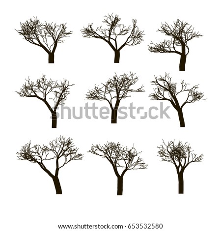 Trees on a white background. Vector illustration.
