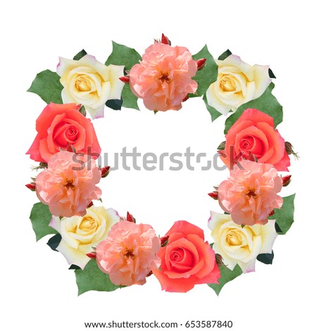 Flower collection roses of different varieties, frame, isolated on white background