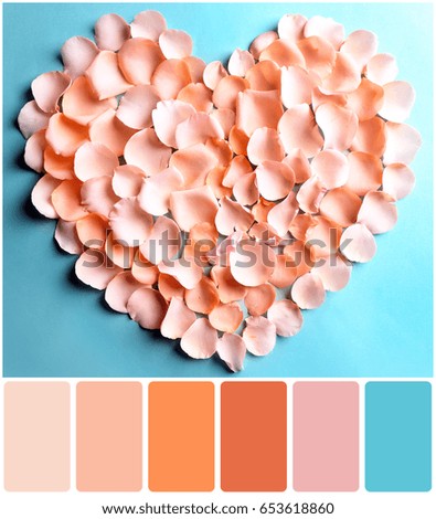 Apricot color matching palette. Heart of flower petals on turquoise background