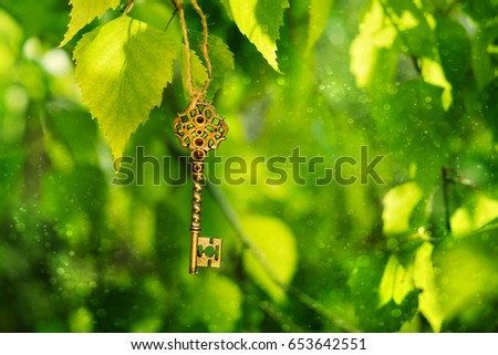 Vintage beautiful golden key among the green birch foliage, natural abstract background. magical key, symbol of secret garden. secrecy, mystique concept. copy space. template for design