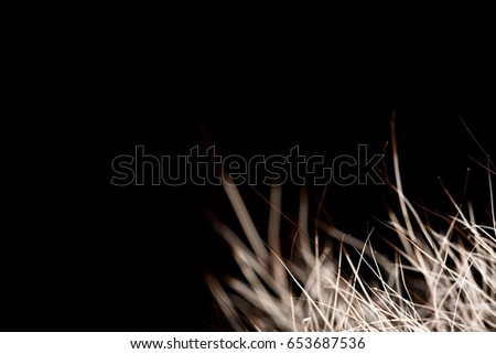 texture of fur. Red Brown Grey Wolf, Fox, Bear Fur Natural, Animal Wildlife Concept and Style for Background, textures and wallpaper. Macro Brown fur