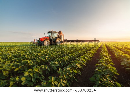 Tractor spraying pesticides on soybean field  with sprayer at spring Royalty-Free Stock Photo #653708254