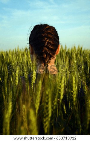 Braided hair of a young girl in a wheat field