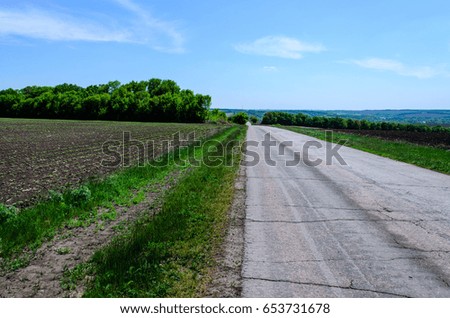 Asphalt road between two fields on spring