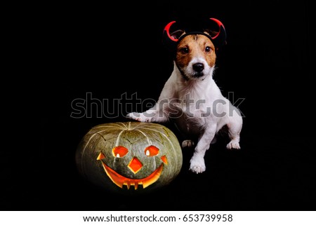 Cute halloween evil with pumpkin lighten inside on black background
